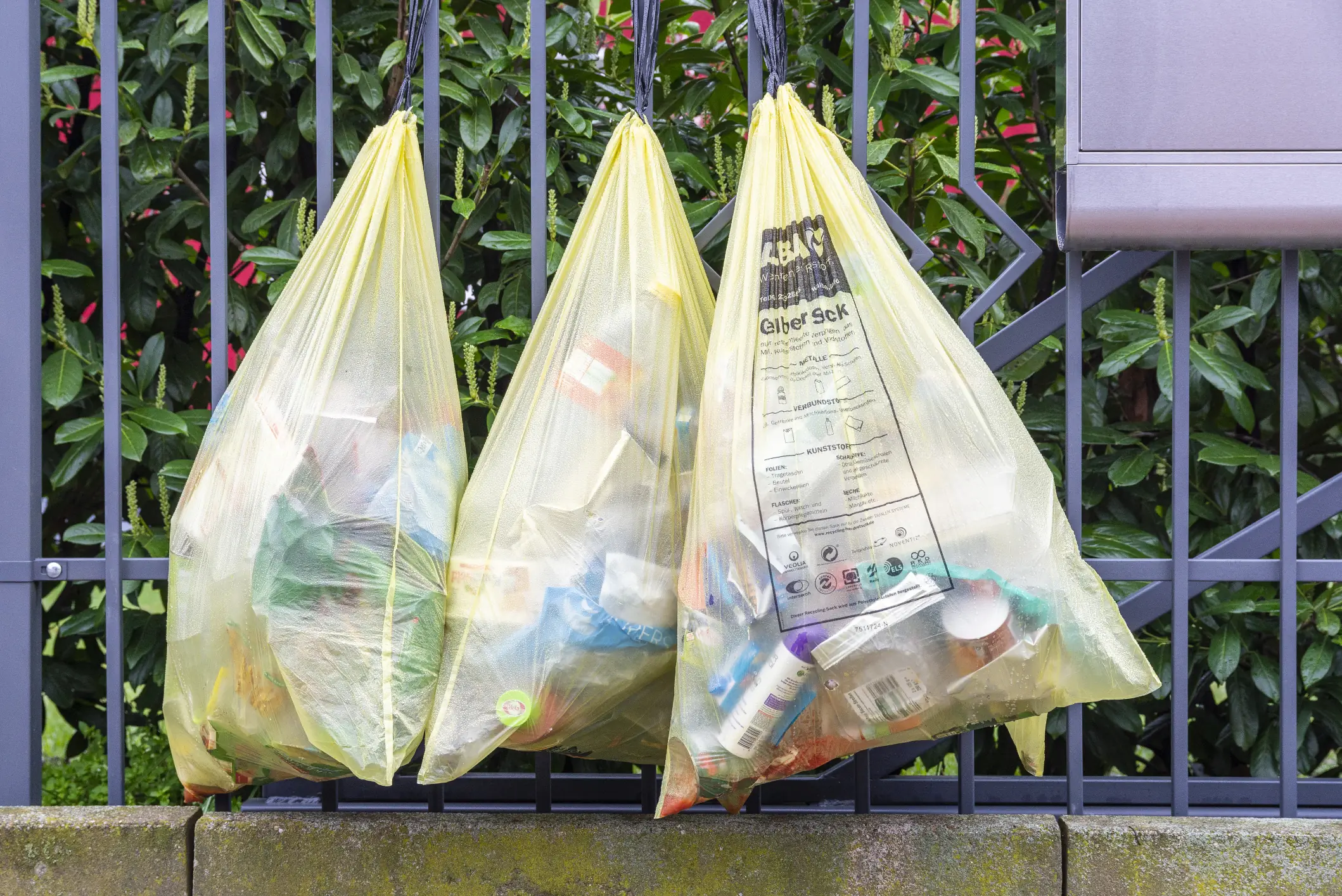 Garbage Collection in C#